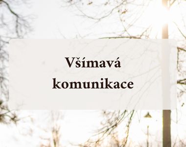 Workshop Všímavá komunikace