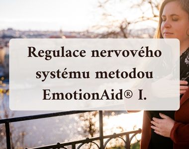 Workshop EmotionAid I.