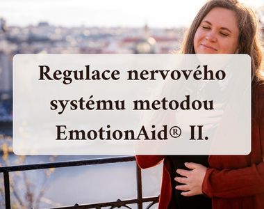 Workshop EmotionAid II.