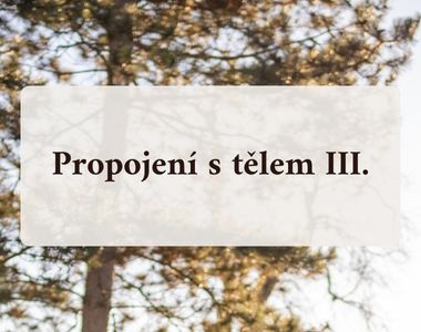 Workshop Propojení s tělem II.